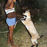 Thumb for Animals and Children